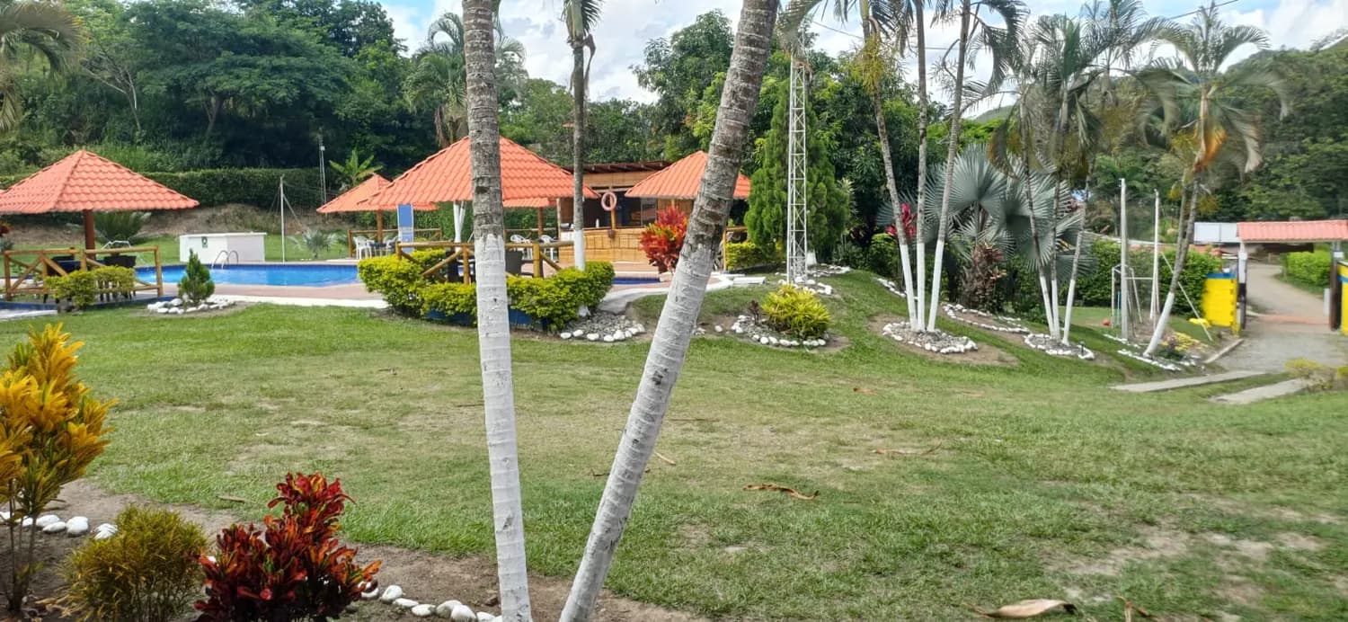 Panorámica de la Finca Loma Bonita y sus palmeras