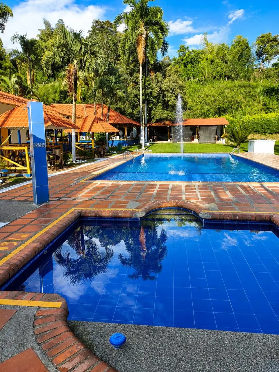 Piscina y jacuzzi de la Finca Loma Bonita rodeados de palmeras